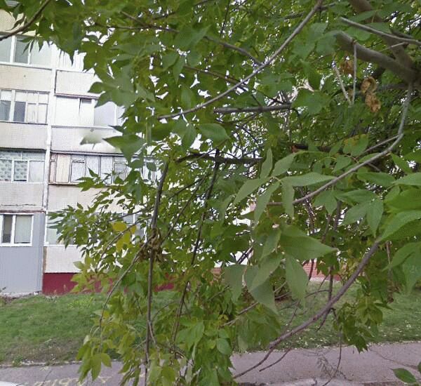 Отделение Почта Банка по адресу ул. Камышинская,  д. 19